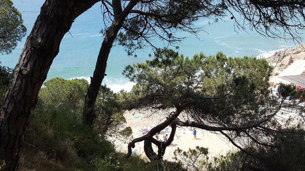 Apartamento Mediterraneo Pineda de Mar Zewnętrze zdjęcie