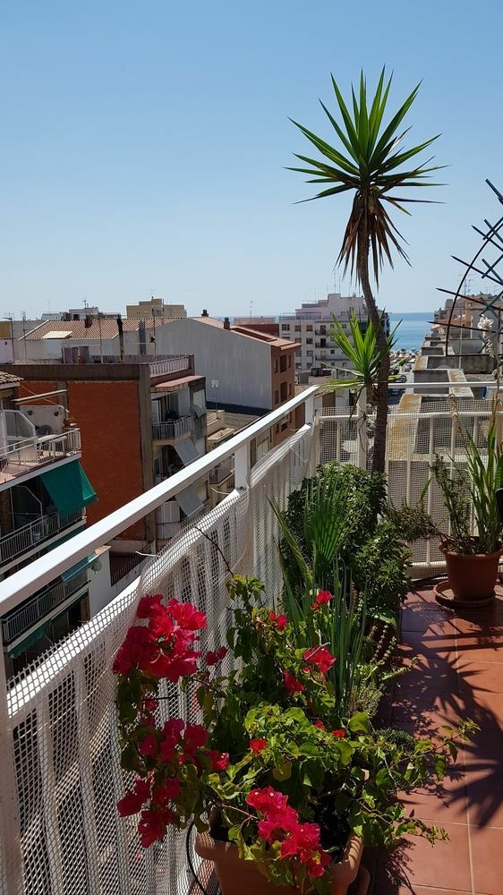 Apartamento Mediterraneo Pineda de Mar Zewnętrze zdjęcie