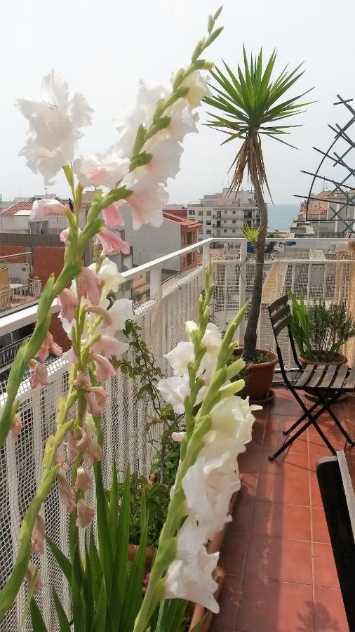 Apartamento Mediterraneo Pineda de Mar Zewnętrze zdjęcie