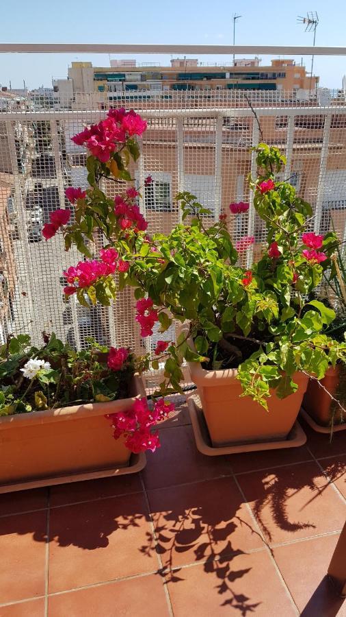 Apartamento Mediterraneo Pineda de Mar Zewnętrze zdjęcie