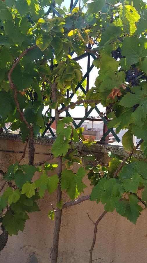 Apartamento Mediterraneo Pineda de Mar Zewnętrze zdjęcie